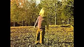 Allman Brothers Band   Ramblin' Man with Lyrics in Description