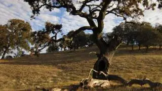 Hiking at Morgan Territory Regional Preserve