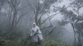 Hujan Tak Berhenti! Solo Camping di Tengah Hutan dengan Angin Kencang 