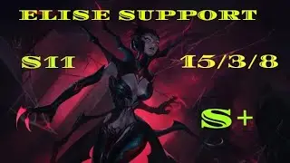 SOLOCARRY Elise Support S11 MVP