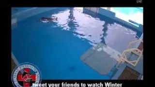 Winter's Tail fell Off