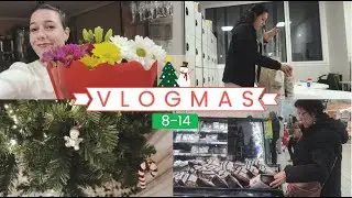 VLOGMAS DEL 8 AL 14| Celebramos nuestro aniversario + estrenamos árbol de navidad