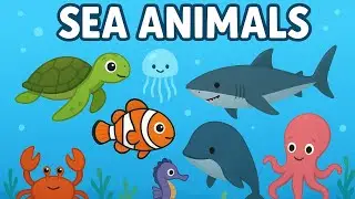 Sea Animals for Kids 🐳 | Learn Ocean Animals Names 🌊 | Fun Learning Video&rdquo;