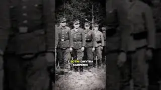 Почему УПА убила пассажиров этого поезда? #история #коммунизм #история #второймировойвойны