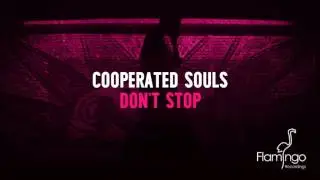 Cooperated Souls - Don't Stop [Flamingo Recordings]