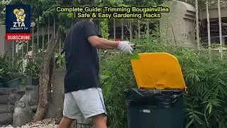 Complete Guide: Trimming Bougainvillea 🌿 | Safe & Easy Gardening Hacks