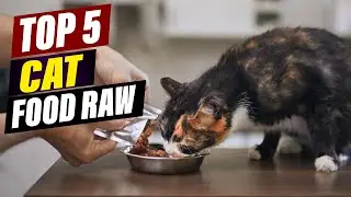 Best Raw Cat Food: A Complete and Balanced Diet