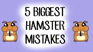 My 5 Biggest Hamster Mistakes!