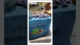 Dance of Giving: Spreading Joy with Food, Love, and Community by Grateful Gratitude