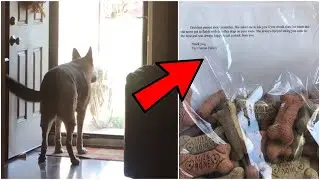 Grieving Owner Knows Mailman Always Brings Treats For Late Dog, Leaves Touching Note For Her