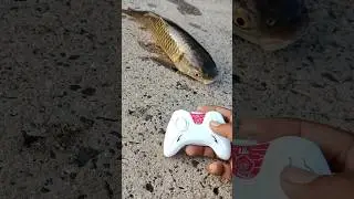 remote control fish unboxing and testing | Rc fish&nbsp;#rcfish