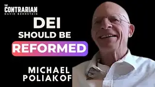 Should DEI be reformed?