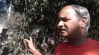 Shillong Curfew 2