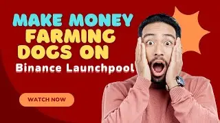 Make Extra $50 farming Dogs Airdrop on Binance Launchpool