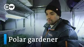 Growing greens in the Arctic | DW Documentary