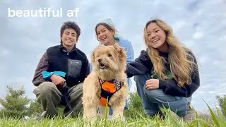 FAMILY DAY IN MY LIFE VLOG!! (」｡≧□≦)」