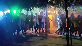 Bastar Marriage Dance Narayanpur