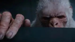 The Man Accidentally Opened the Novel and the Monster Ran Out.
