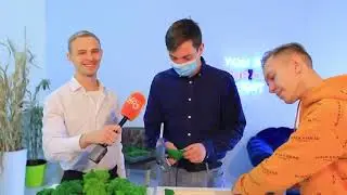 О стабилизированном мхе | GREEN SIDE в эфире программы Доброе утро