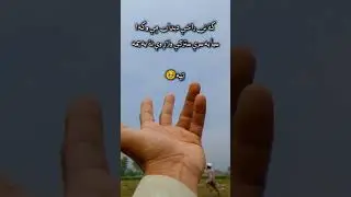 #pashtopoetry #pashtosadpoetrystatus 🍷🥺@DaPashtoSazAwaz