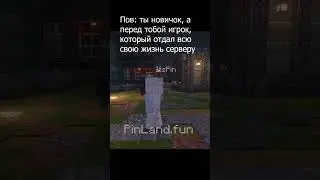 Айпи Pinland.fun порт 25565