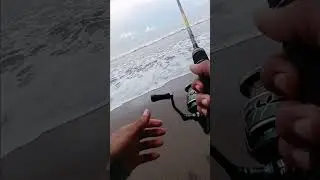 #mancing #fishing #ikan #mancingmania #lucu #funny #mancingceria #belajarmancing #pancing