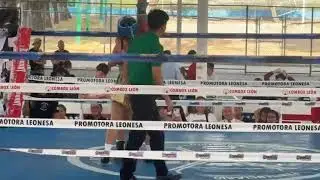 🥊 “Talento Leonés VII”  Pelea amateur: Perla la 