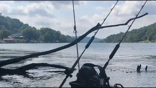 On the hunt for a Tennessee river monster