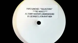 Papo Sanchez - Aguas Puras (T'Hunter's Underground House Mix)