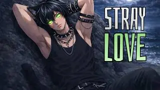 Stray Love - by The Lunar Lyre [Official Lyric Video]