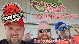 The Show Me Reptile Shows Brings You &ldquo;Ship&rsquo;N Ain&rsquo;t Easy&rdquo;