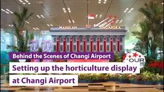 National Day 2019: Setting up the horticulture display at Changi Airport