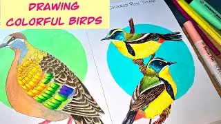 Super Relaxing Sketchbook Drawing &ndash; Colorful Mixed Media Birds
