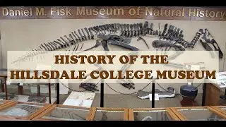 History of the D. M. Fisk Museum of Natural History at Hillsdale College