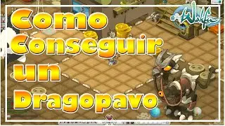 ⭕[WAKFU] 𝐆𝐮𝐢𝐚 𝐃𝐫𝐚𝐠𝐨𝐩𝐚𝐯𝐨 | 𝐂𝐨𝐦𝐨 𝐜𝐨𝐧𝐬𝐞𝐠𝐮𝐢𝐫 𝐮𝐧 𝐝𝐫𝐚𝐠𝐨𝐩𝐚𝐯𝐨 [𝟏.𝟕𝟓] | 𝐆𝐮𝐢𝐚 𝐜𝐨𝐦𝐩𝐥𝐞𝐭𝐚 𝐞𝐧 𝐞𝐬𝐩𝐚ñ𝐨𝐥 ♥