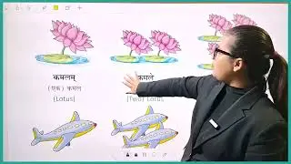 Aayansh Sanskrit Class 2 Chapter 3 Nouns - Genders and Numbers