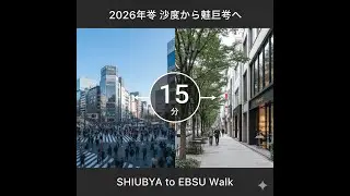 Walking in Tokyo 2026: Shibuya to Ebisu (Meiji-dori St.)