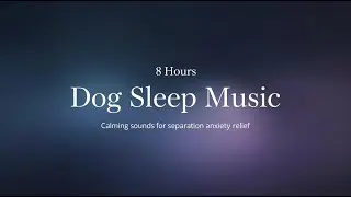 8 Hours Dog Sleep Music 🐾 Black Screen | Calming Sounds for Separation Anxiety Relief