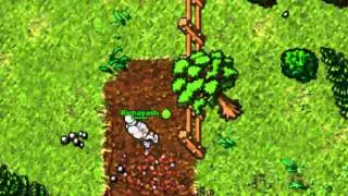 Como jugar ot pokemon espa&ntilde;ol