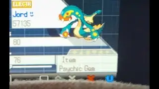 Jord's Black 2 Pok&eacute;mon Team Showcase: Part 1