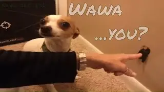 He hits the wall & it sticks!