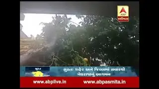 Tree falls  during heavy rain in surat