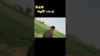 🤣🤣🤣🤣#fanny#blogger#arere#vibeo#syster#tirending #pakistan #blogger