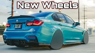 New Wheels For My 1 Of 1 F80 | Surprising PQ With My First S55!