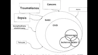 Hematologie - CIVD [FMPC]