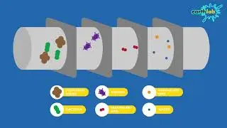 Membrane Technologies for Water Treatment
