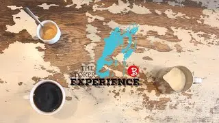 What Is Coffee? | The Stoker Experience