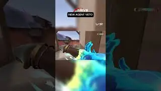 NEW AGENT VETO
