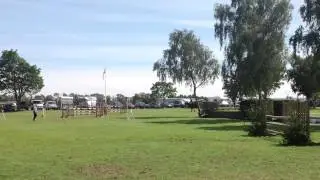 Amadeus 167  Hickstead  1.10m Royal Int 2015  - Jo Hicks