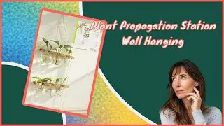 Plant Propagation Station Wall Hanging review